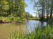 Flusslandschaft