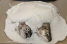 Zwei Forellen liegen in einem Bett aus Eischnee auf einem Blech.