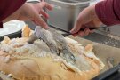 Ein Fisch wird aus der harten Eischnee- Salz- Kruste herausgehoben.