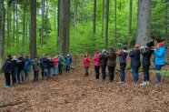 Teilnehmer stehen im Wald und spielen ein Spiel