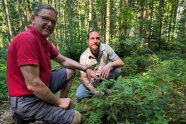 Herr Wurm und Förster Simon Hackl begutachten im Wald knieend die jungen Baumpflanzen 