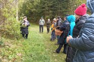 Mehrere Personen stehen vor einer Weide im Wald