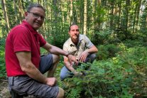Herr Wurm und Förster Simon Hackl begutachten im Wald knieend die jungen Baumpflanzen 